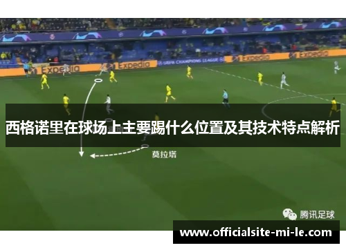 西格诺里在球场上主要踢什么位置及其技术特点解析