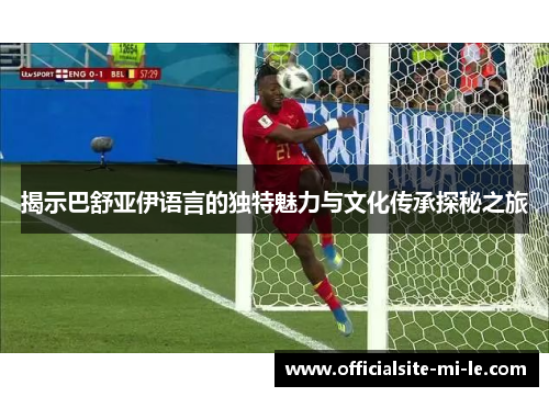揭示巴舒亚伊语言的独特魅力与文化传承探秘之旅