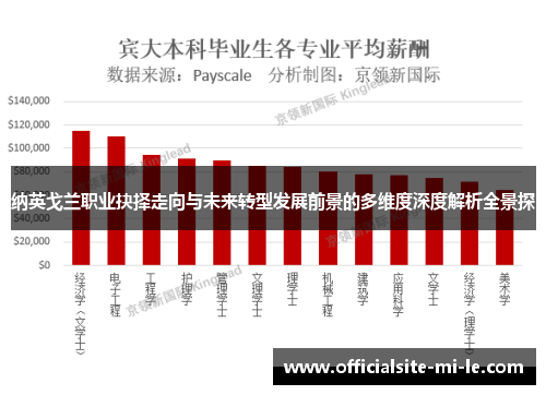 纳英戈兰职业抉择走向与未来转型发展前景的多维度深度解析全景探