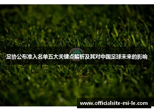 足协公布准入名单五大关键点解析及其对中国足球未来的影响