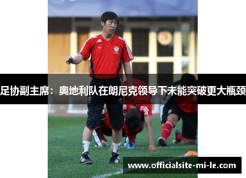 足协副主席：奥地利队在朗尼克领导下未能突破更大瓶颈