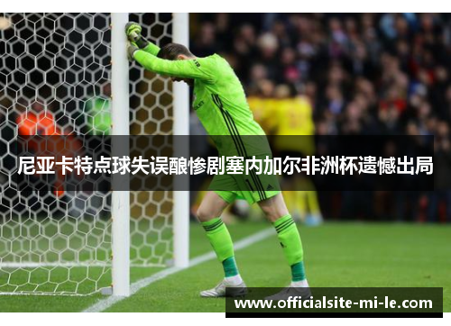尼亚卡特点球失误酿惨剧塞内加尔非洲杯遗憾出局
