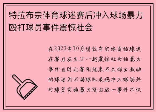 特拉布宗体育球迷赛后冲入球场暴力殴打球员事件震惊社会